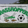 Sports sponsorship and team banners